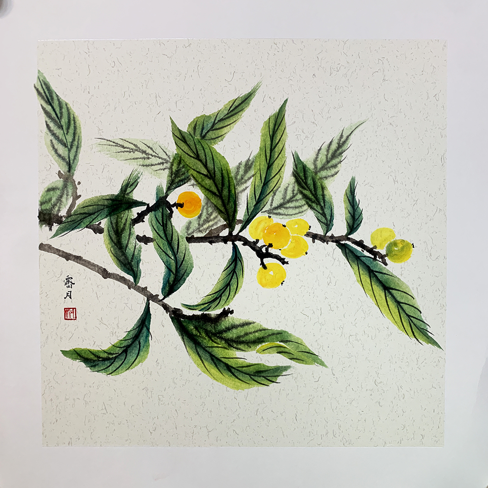 寫意枇杷