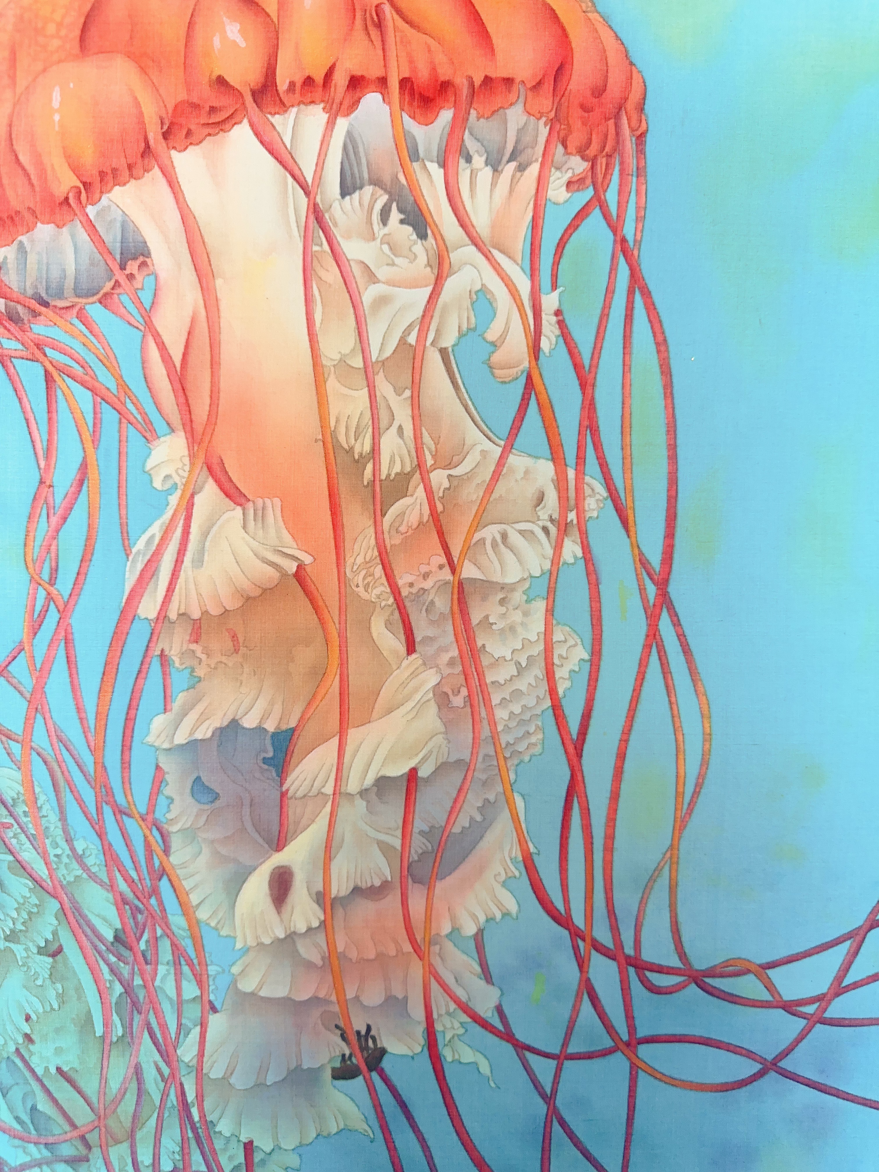 局部